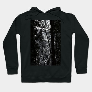 snowy Oregon forest 4 Hoodie